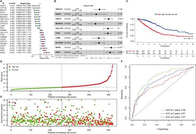 Fatty acid metabolism prognostic signature predicts tumor immune microenvironment and immunotherapy, and identifies tumorigenic role of MOGAT2 in lung adenocarcinoma